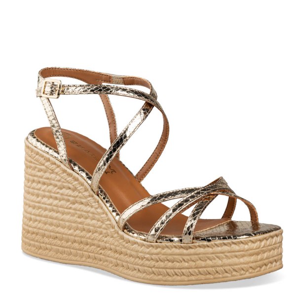 WEDGES