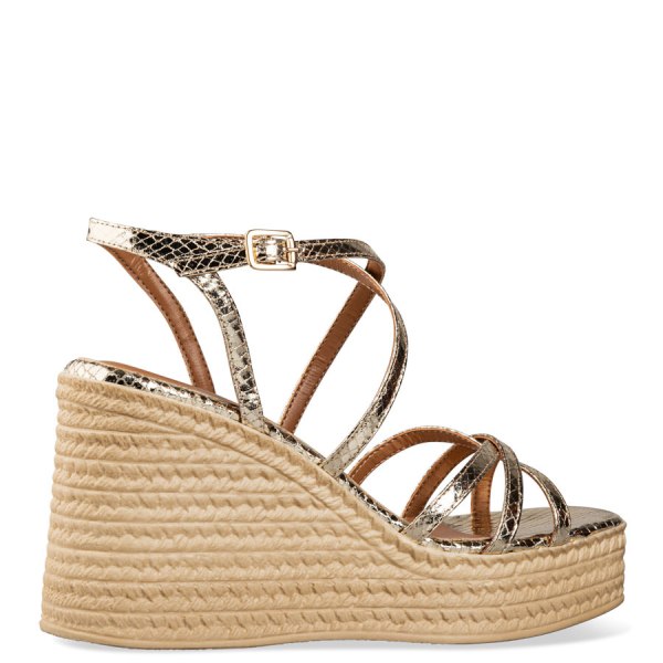  WEDGES - 3
