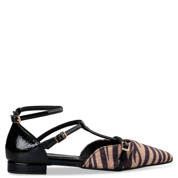 POINTY BALLERINAS