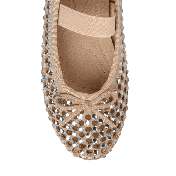 EMBELLISHED BALLET FLATS φωτογραφία