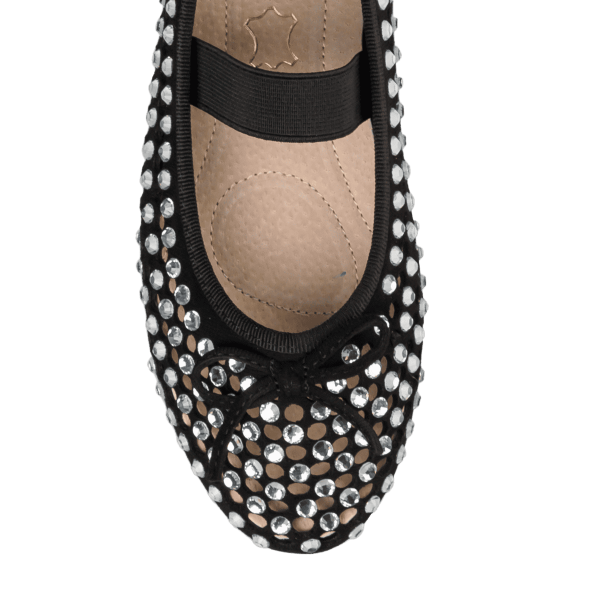 EMBELLISHED BALLET FLATS φωτογραφία