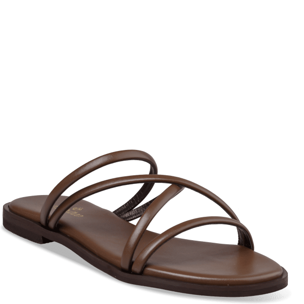 ΛΗΤΩ φωτογραφία