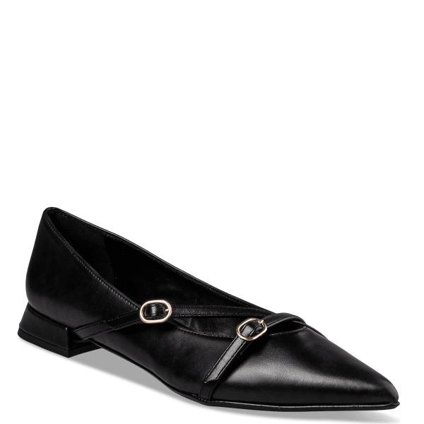 POINTY BALLERINAS φωτογραφία