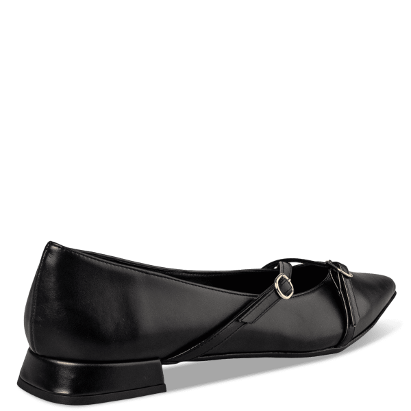 POINTY BALLERINAS φωτογραφία