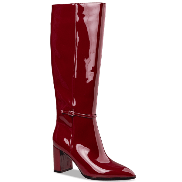 POINTED TOE SHINY BOOTS φωτογραφία