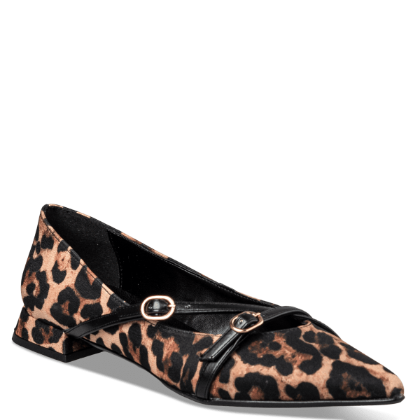 POINTY BALLERINAS φωτογραφία