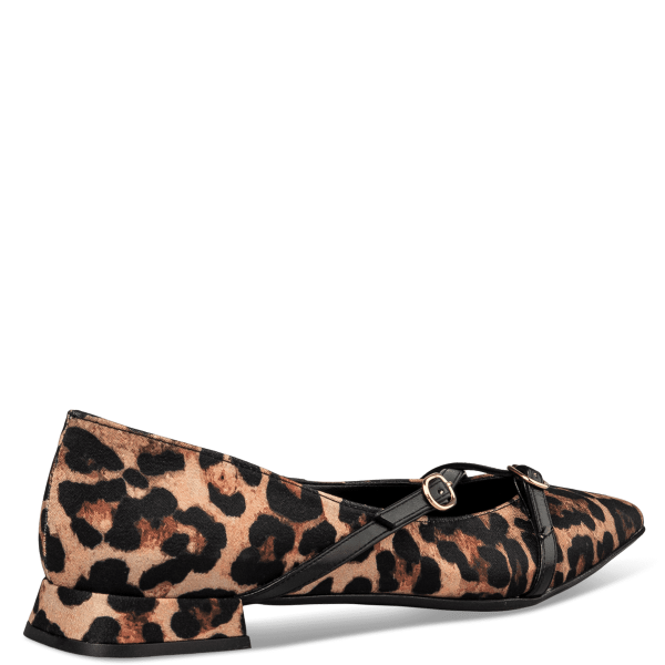 POINTY BALLERINAS φωτογραφία