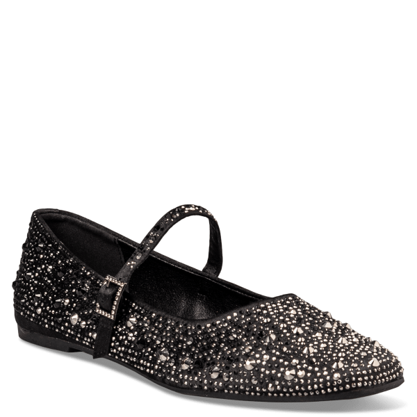 BALLET FLATS φωτογραφία