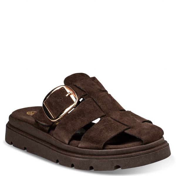 CLOGS